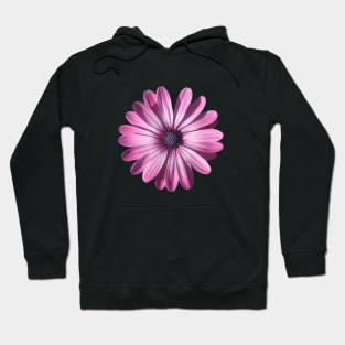 Spectacular African Daisy Isolated Hoodie